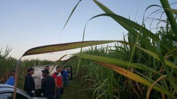Hombre mata venezolano por presuntos asuntos pasionales