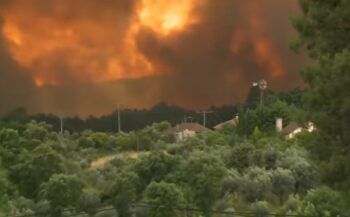 Incendio forestal en Gran Canaria avanza sin control