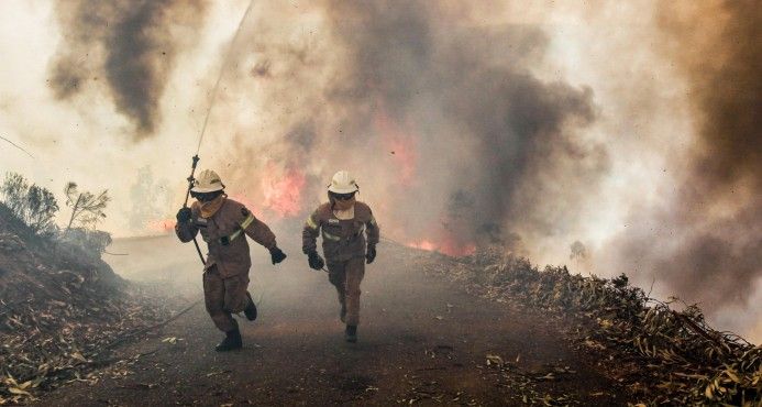 Incendio deja al menos 62 muertos en Portugal