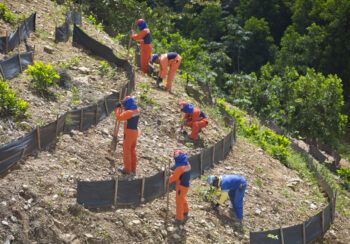 Barrick Pueblo Viejo se certifica en  ISO 14001