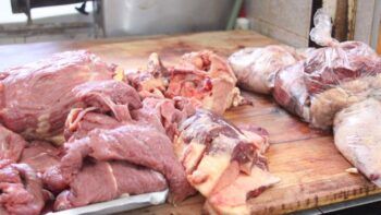 Hallan en carnicería el cuerpo de joven desaparecida