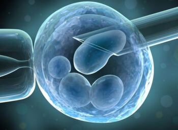 ¿Qué son las células madre?