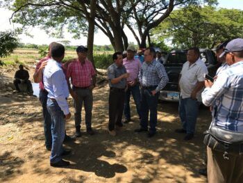 Agricultura realiza levantamiento de daños por huracán Irma