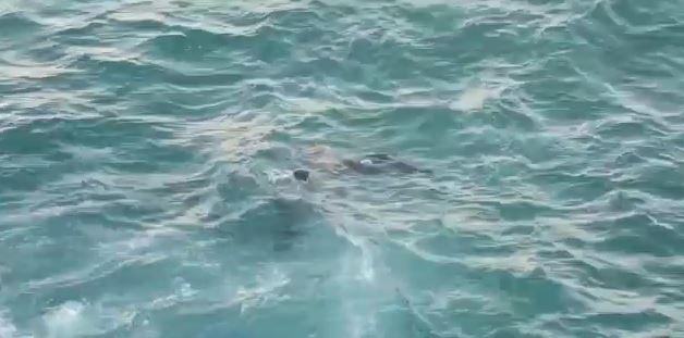 Se ahoga niño de 10 años en el Malecón de Sto.Dgo