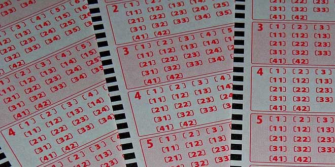 5 estúpidos ganadores de la Lotería.