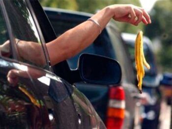 Tirar basura le cuesta la vida (Video)