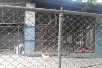 Militarizan 6 granjas de pollo en Espaillat para evitar propagación de gripe aviar.