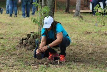 Empleados del Popular siembran más de 2,600 árboles en el Plan Sierra