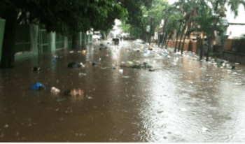 Hombre muere ahogado tras caer en cañada