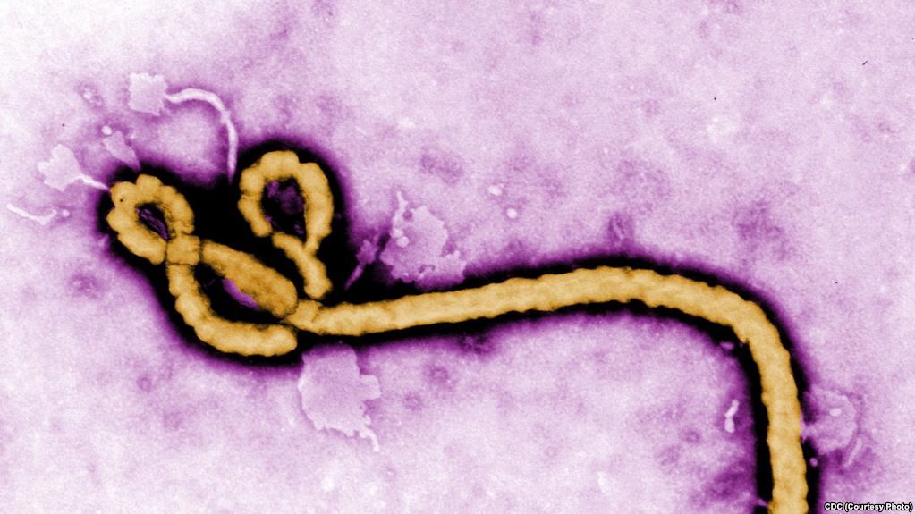 Ébola: 17 muertos en el Congo