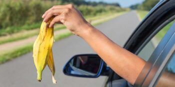 Multaran a quienes tiren basura a la calle