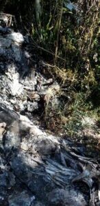 Dos muertos tras accidente aéreo en aeropuerto Joaquín Balaguer