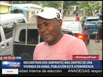 Video: Encuentran dos culebras más dentro de una vivienda en Haina