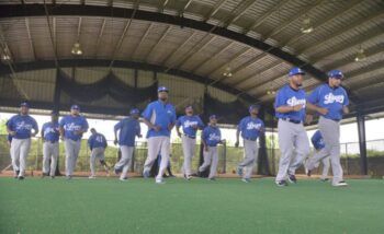 Tigres del Licey convocan para este lunes a los infielders y jardineros