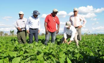 Agricultura invierte 364 millones para optimizar recursos hídricos en San Juan