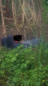 Matan a dos hombres y lanzan cadáveres en unos matorrales en La Vega