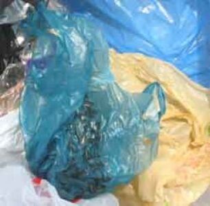 En Chile ya no usan fundas plástica