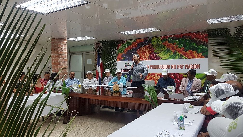 Resaltan la importancia que tiene el cultivo de cocos en Dominicana