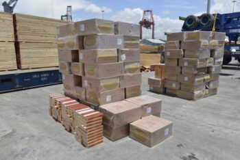 Aduanas dominicana decomisa contrabando millonario de cigarrillos en Haina
