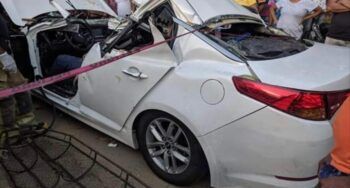 Muere médico tras caerle árbol a su vehículo