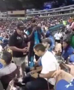 Arrestan fanático en el play porque vocifero «corrupto» a Radhamés Camacho