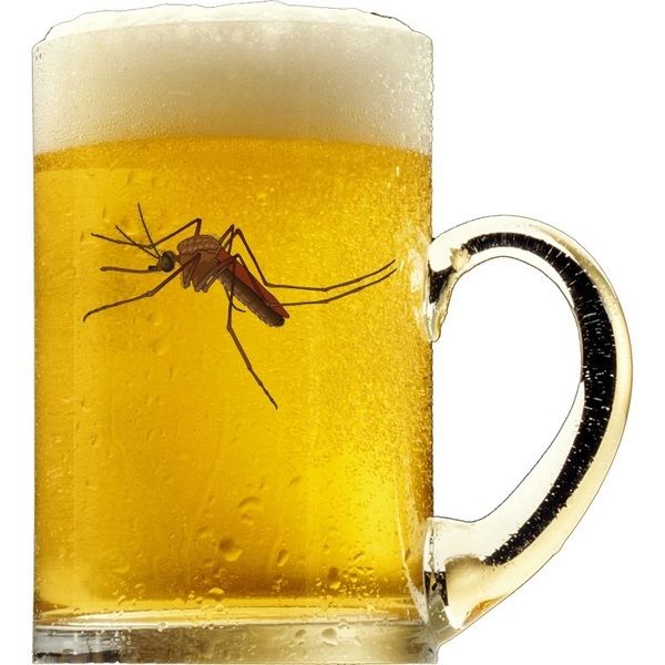 Las personas que beben cerveza son mas propensa a las picadura de mosquito