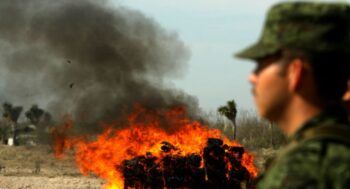 Queman más de 3 toneladas de marihuana y drogan a todo un pueblo