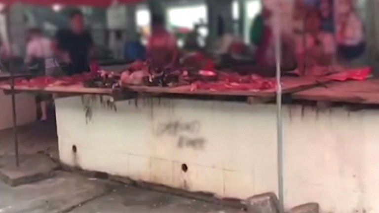 En plena pandemia del coronavirus China abrió su feria anual de carne de perro