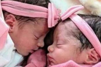 El perro de la familia mata gemelas recién nacidas