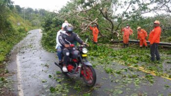 Brigadas de Obras Públicas retiran ramas y escombros de vías tras el paso de la tormenta Laura