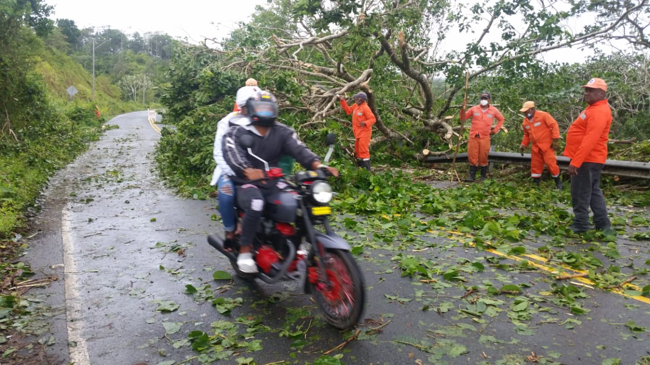 Brigadas de Obras Públicas retiran ramas y escombros de vías tras el paso de la tormenta Laura