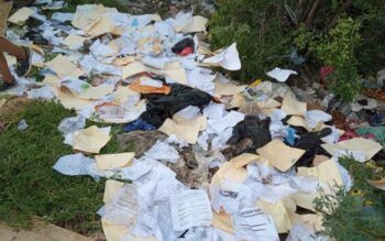 Cientos de curriculums  entregados a Comisión de Empleos PRM  son tirados a la basura