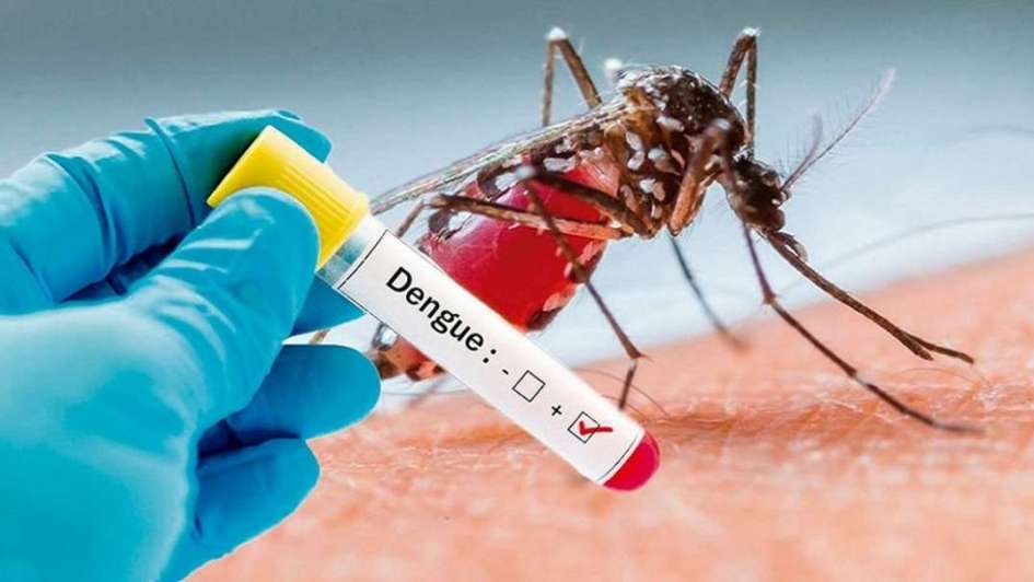 OMS recomienda la primera vacuna contra el dengue