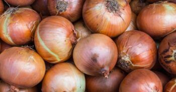 Matan hombre por un saco de cebolla