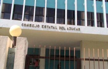 Descubren supuestas bandas mafiosas dedicadas a liderar invasiones de terrenos del Estado