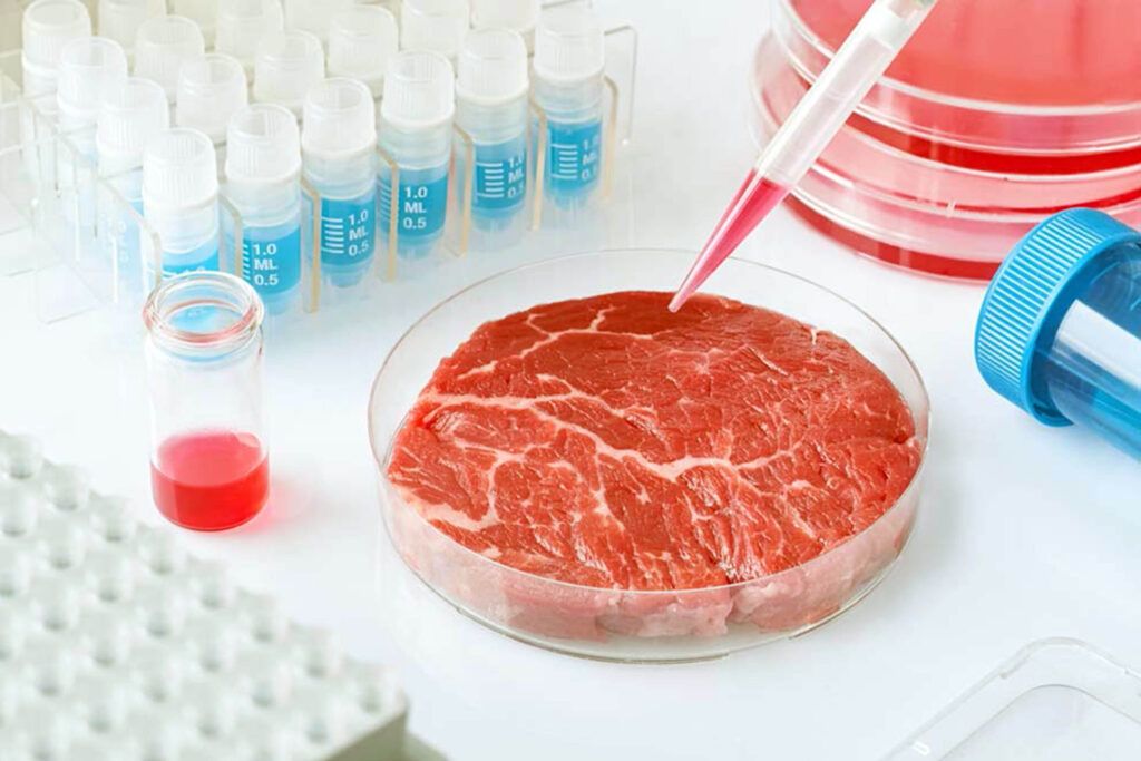 Singapur es el primer país en aprobar la venta de carne cultivada en laboratorio