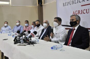 Gobierno comprará 100 mil quintales de cebolla para estabilizar el precio del producto