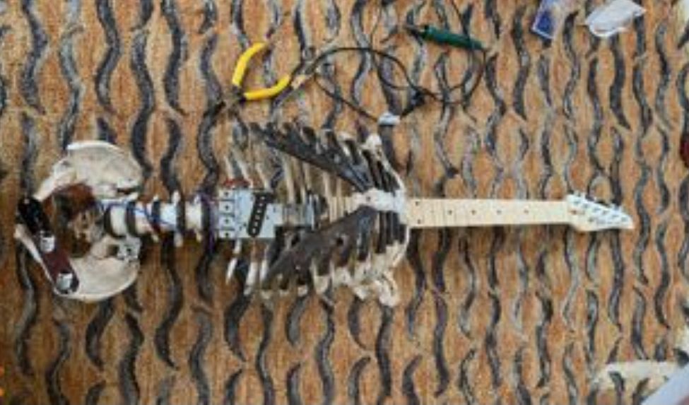 Hombre convierte esqueleto de su tío en guitarra eléctrica