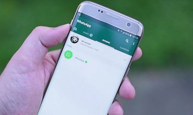 Cómo leer tus mensajes en WhatsApp sin aparecer en línea?