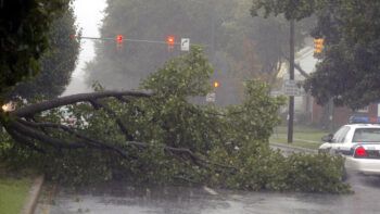 Muere una famosa ‘tiktoker’ estadounidense al caer sobre su auto una rama de árbol