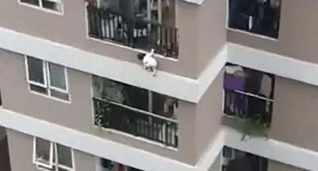 Un repartidor salva la vida a una niña de tres años que cayó de un duodécimo piso