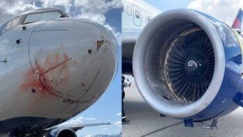 Vuelo del Jazz aterriza de emergencia tras golpear un ave