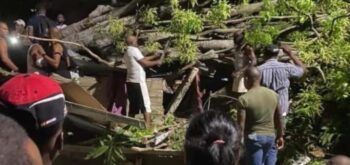 Le cae árbol encima a una pareja de esposos en San Cristóbal