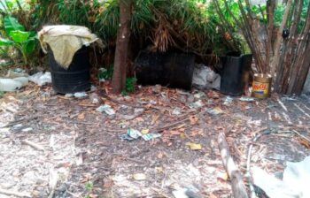 Ocupan 23 tanques con clerén en Barahona