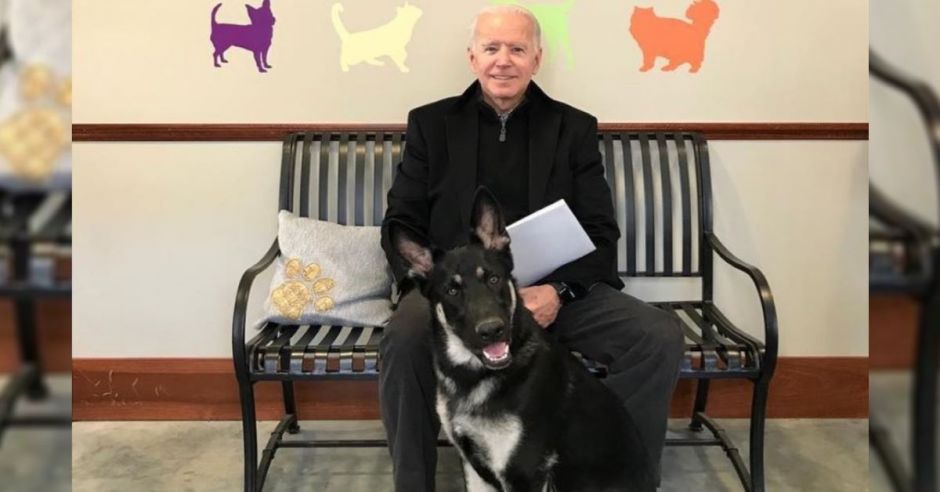 Perros de Biden han mordido a dos personas en la Casa Blanca