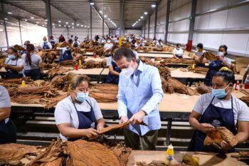 Las exportaciones de Zonas Francas alcanzan un crecimiento interanual de 108%