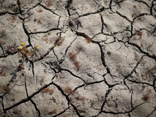 La mayor parte de California está en estado de emergencia por sequía