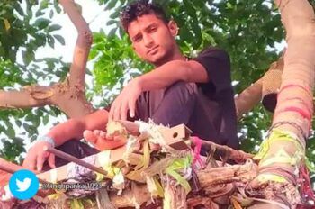 Joven con COVID-19 se aisló en un árbol para no contagiar a su familia