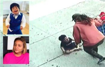 Niño dominicano sobrevive a caída de quinto piso en El Bronx