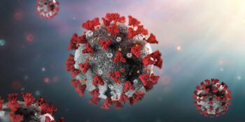 Descubren por qué el coronavirus es una enfermedad vascular y no respiratoria